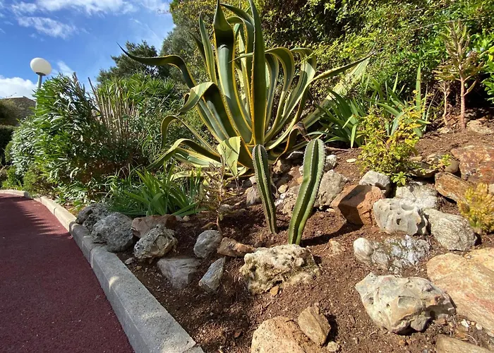 La Petite Maison Maximoise - Kleine Haus Maximoise By Interhome 度假居